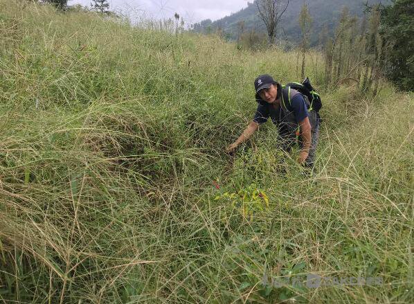 习水河流域发现汉代聚落遗址