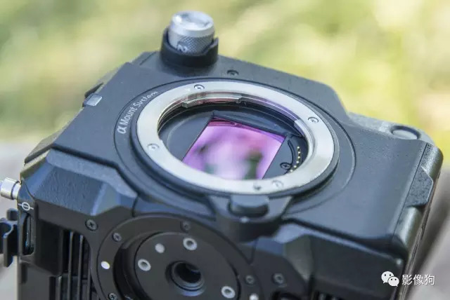 佳能尼康索尼哪个相机质量最好,佳能尼康索尼出图效果