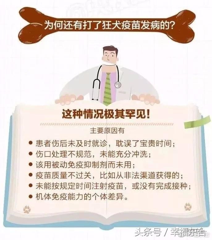 关于养犬致全体市民的一封公开信,通知给养犬居民的一封信请查收