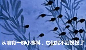 女子连生4个女儿未生儿子,女子连生4名未生儿子