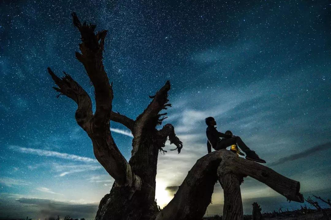跟着大咖体验南疆最经典路线，玄奘东归路、沙漠胡杨、民俗风情！