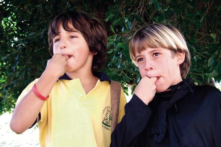 非物质文化遗产木哨子,非物质文化遗产英语介绍