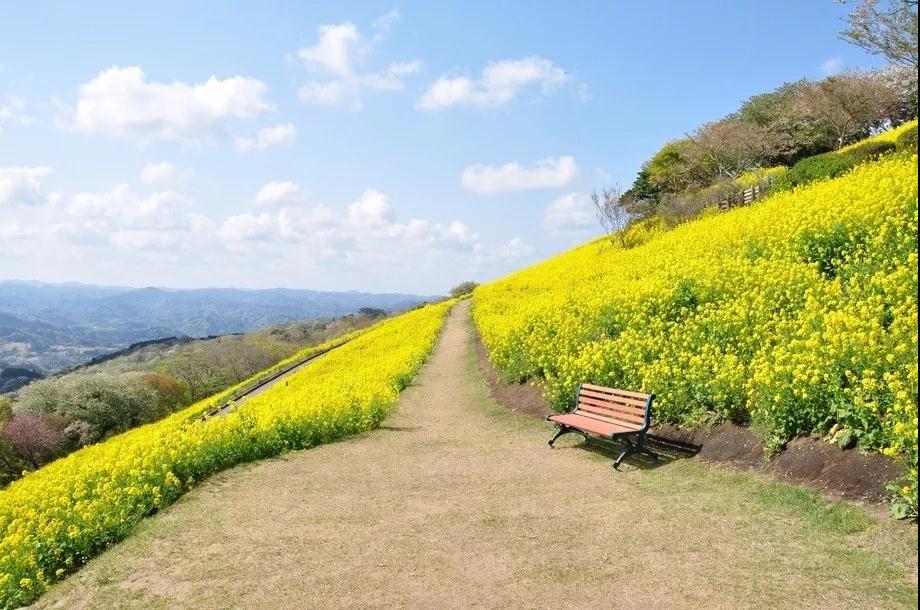 亲子牧场推荐,亲子牧场有哪些