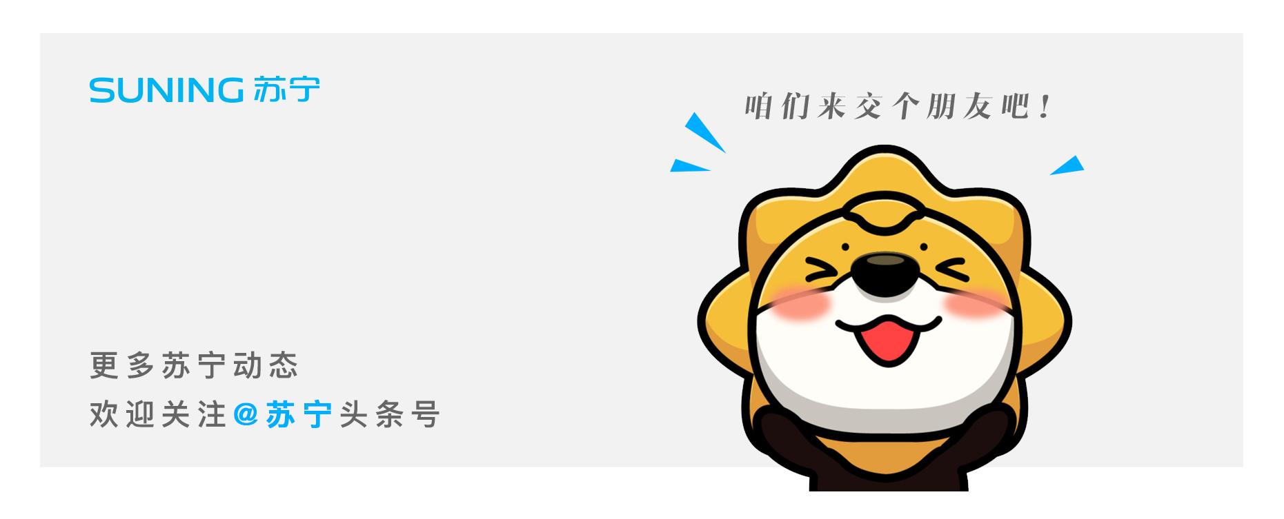 苏宁置业深度解析,苏宁置业地产排名