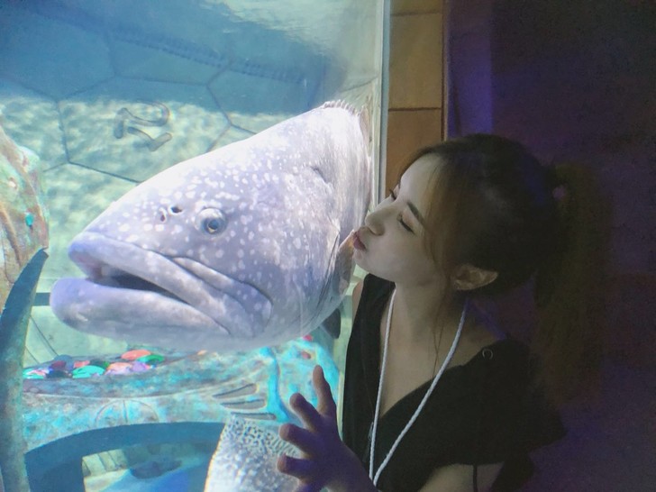 三亚亚特兰蒂斯酒店体验讲解,三亚亚特兰蒂斯酒店自由行攻略