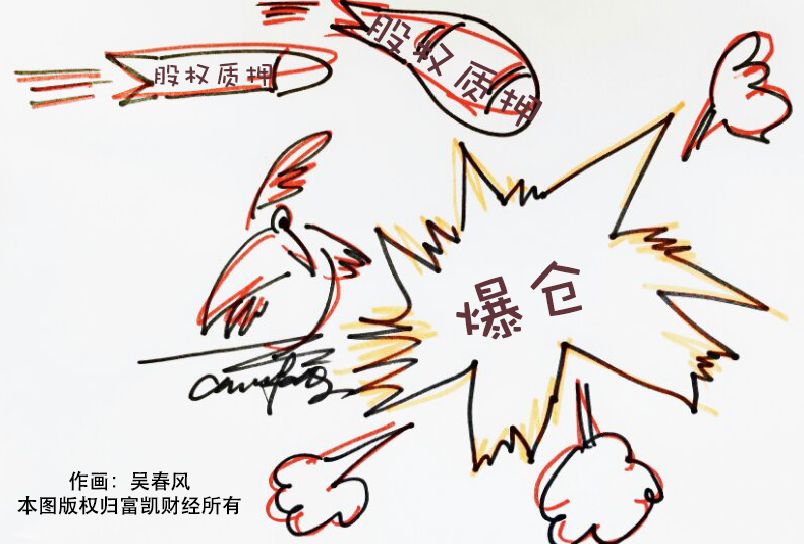 华录百纳,华录百纳财务