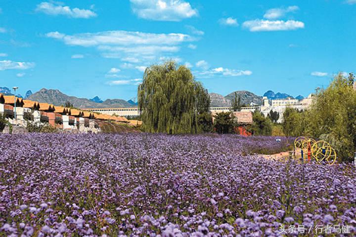 第二届保定旅发大会,保定旅发大会4个观摩项目