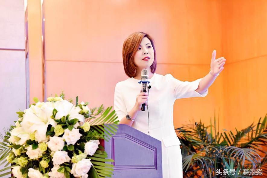 维也纳酒店西安国际会展中心店,维也纳商业模式的资本运作