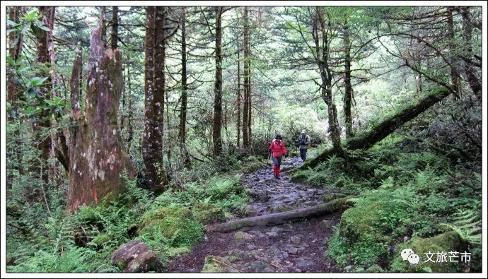 头条｜今年国庆芒市精彩活动不断，让芒市承包你的假期吧！