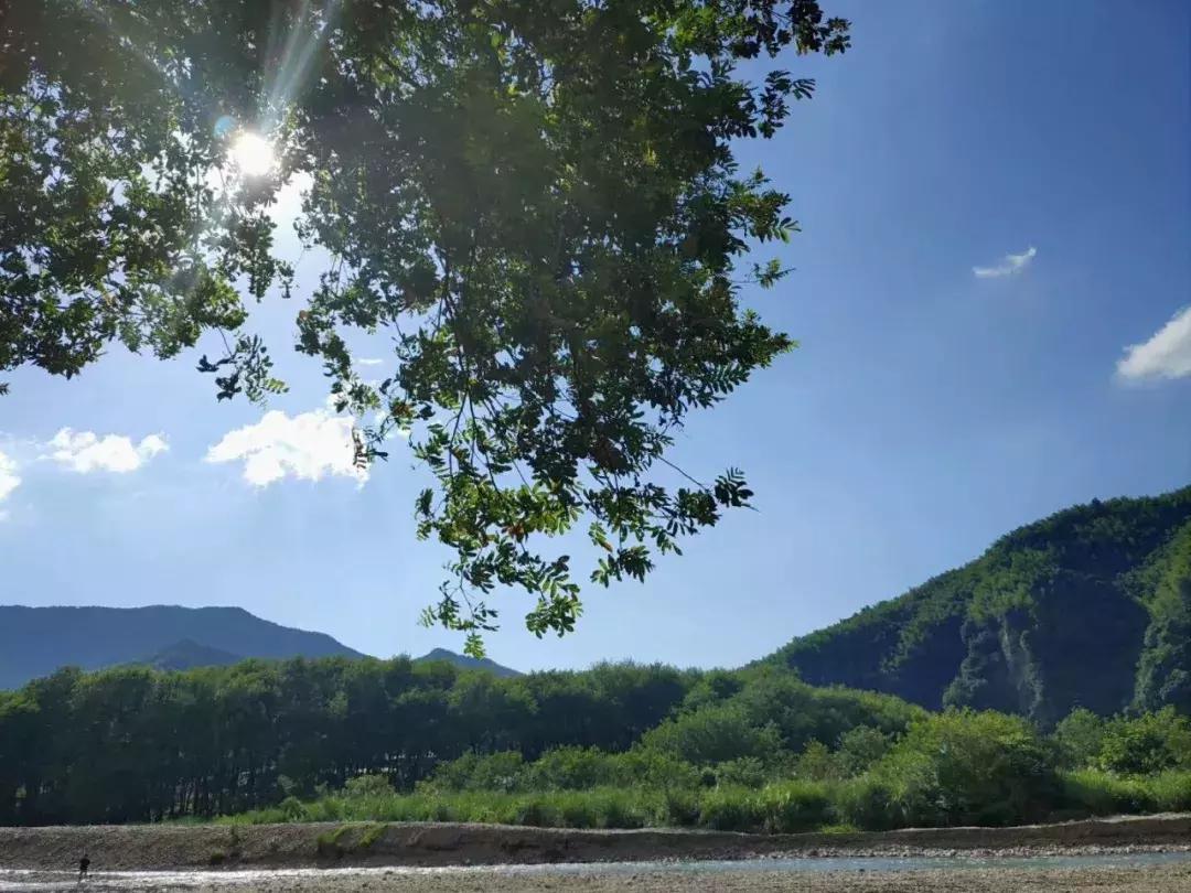 沈阳地铁2024施工现场,沈阳铁路最新建设情况