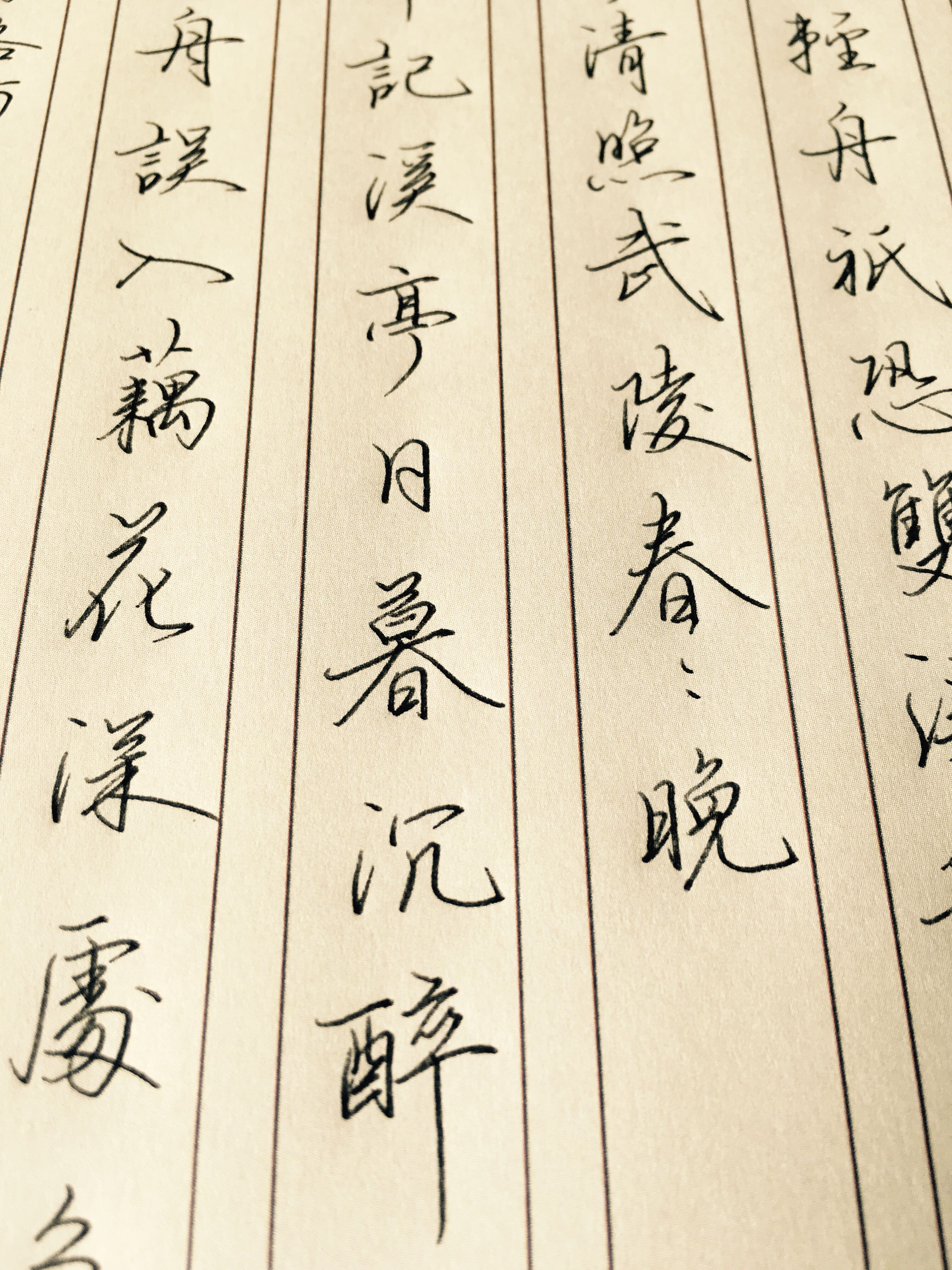 李清照宋词钢笔字帖,李清照经典诗词钢笔字作品欣赏