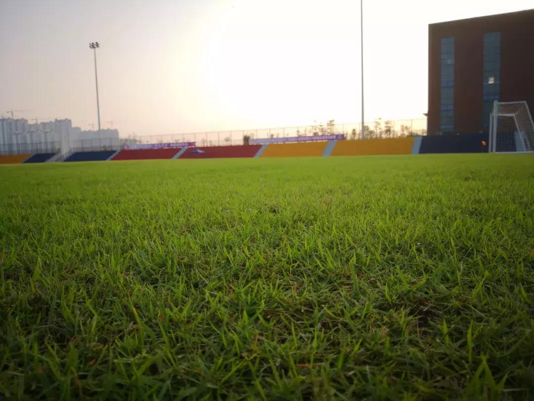 上汽通用五菱足球队,上汽通用五菱员工活动