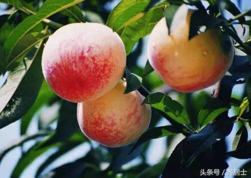 外交部山东日照,外交部向全球推荐安徽