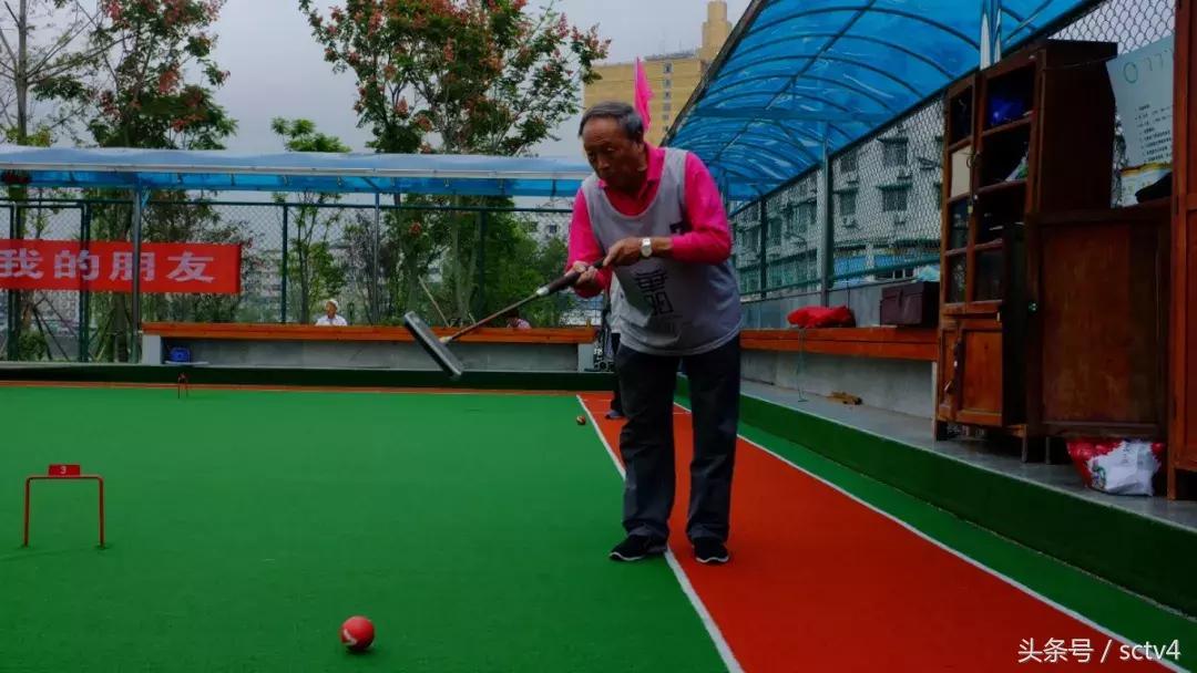 绿茵场上展风采图片,绿茵场上的表演