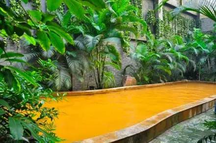 山东温泉必打卡,山东十大温泉