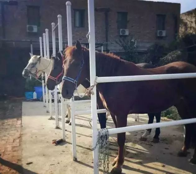 中秋晚上西安去哪里,中秋去哪里玩才最合适西安