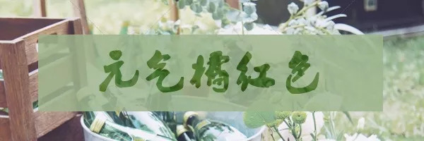 做最美新娘的秘密*器武**，是时候了解一下了