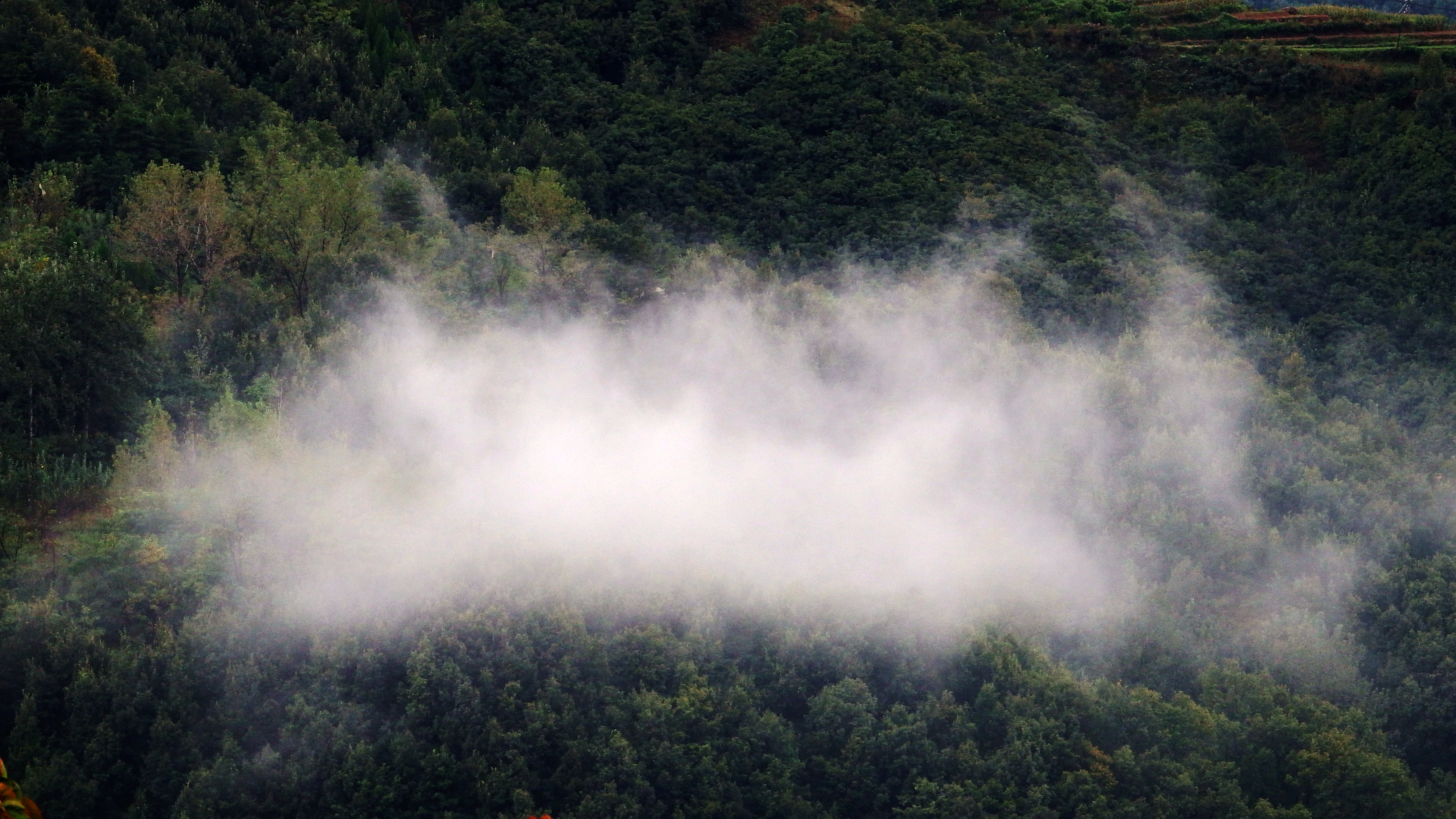 你的层次决定了你遇到的人的层次,你是什么层次就看到什么层次