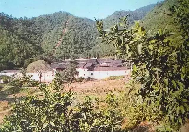 100张绝密南康老照片,100张信丰绝密老照片