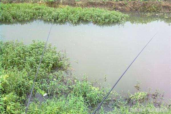 秋季大风天怎么钓鱼,大风天钓鱼如何应对