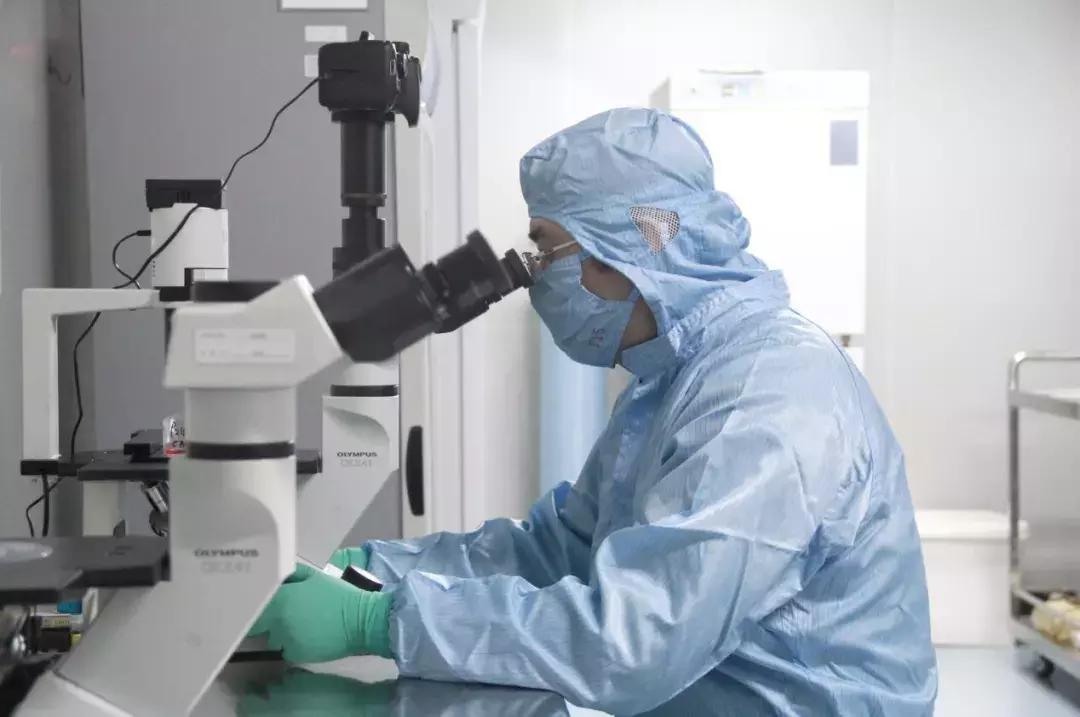 广东佰鸿再生医学有限公司,项目巡礼