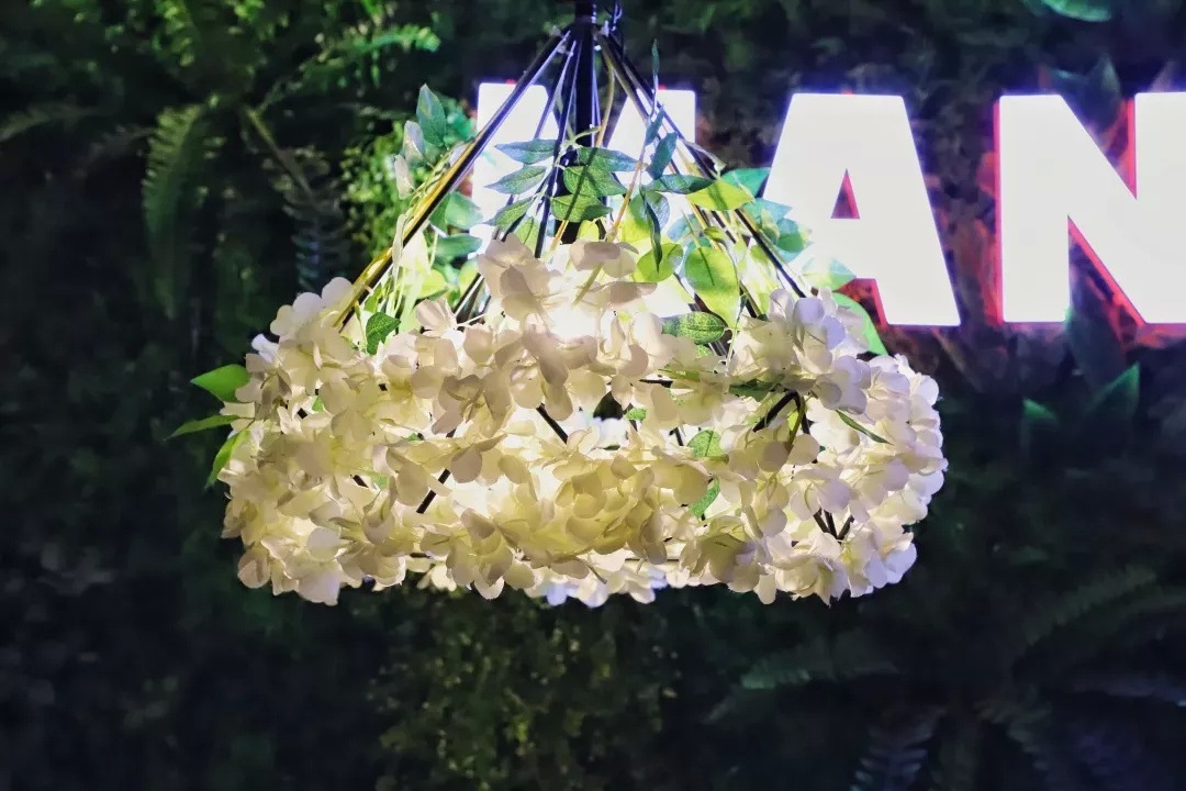 在漫猫喝咖啡，那种无忧的心情，仿佛随着维也纳音符飘到云间……