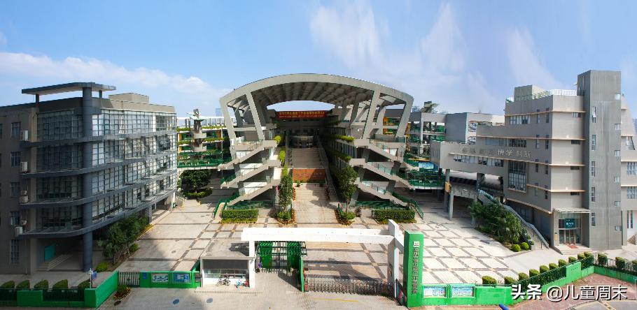 深圳南山区比较好的公立小学,深圳小学龙岗学校排行