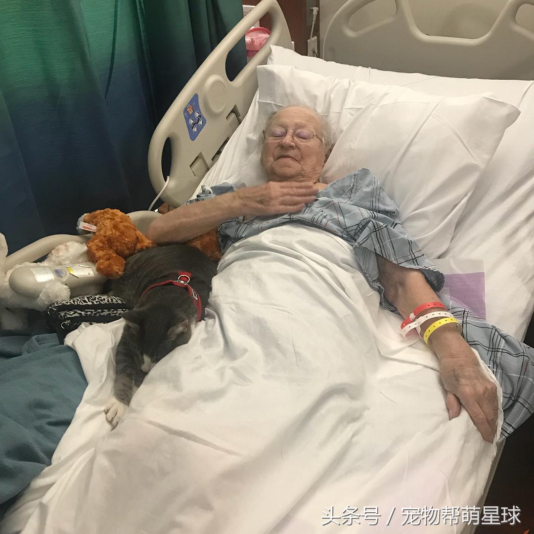 澶辨槑鐨勫皬鐚娌诲ソ,澶辨槑鐨勫皬鐚娌荤枟