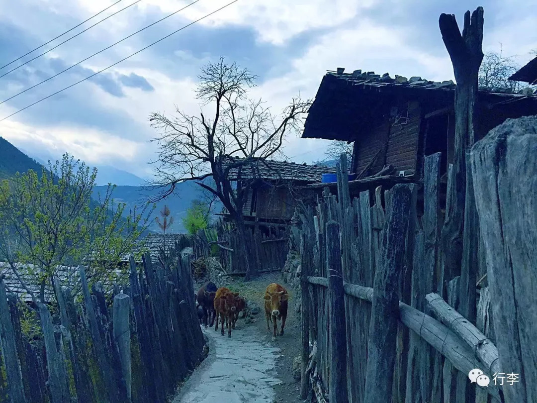 行李︱老艾：只要活着，谁不在路上