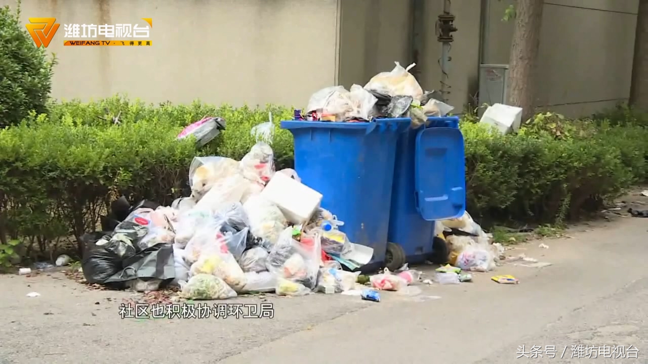 小区公共区域垃圾成堆拒缴物业费,垃圾泛滥小区无人管