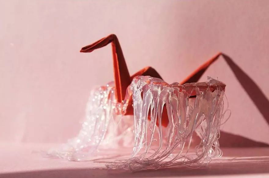 每天折一个千纸鹤,每天折一只纸鹤