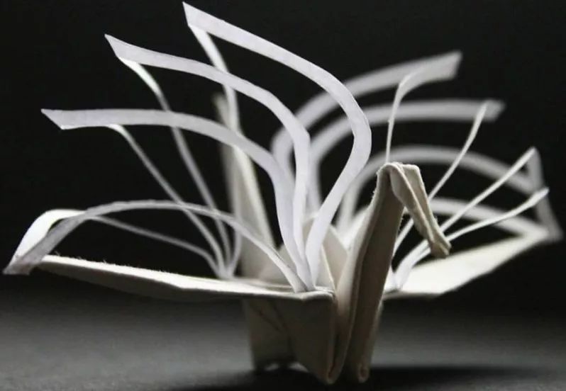 每天折一个千纸鹤,每天折一只纸鹤