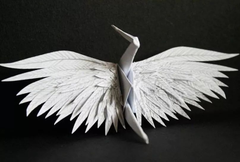 每天折一个千纸鹤,每天折一只纸鹤