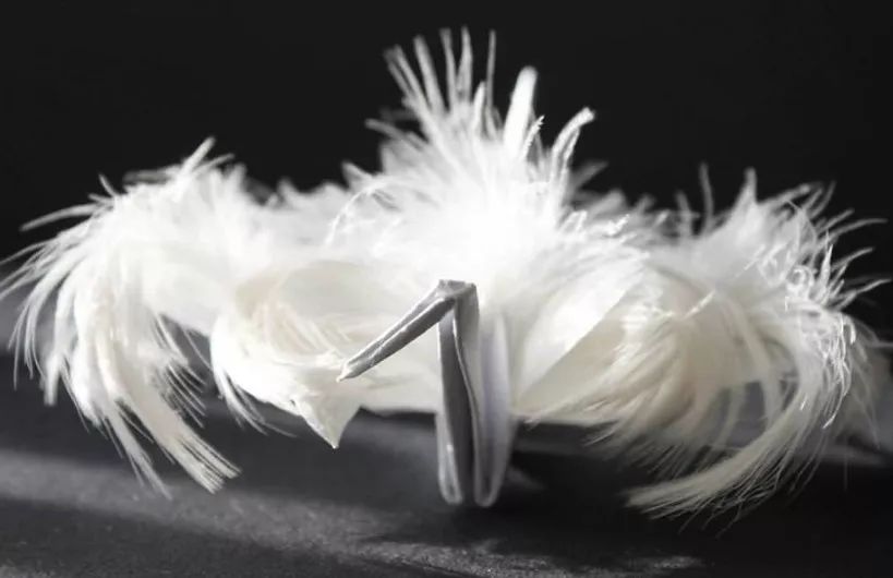 每天折一个千纸鹤,每天折一只纸鹤