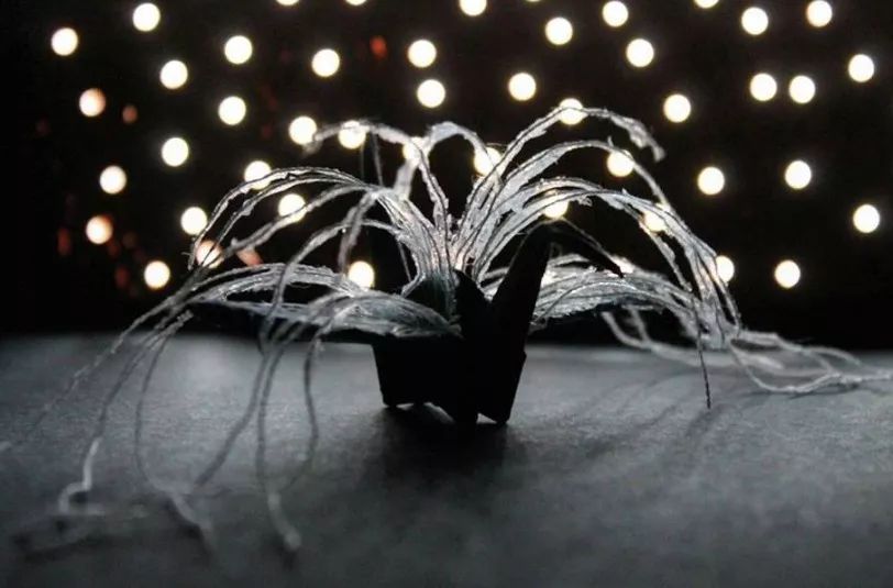 每天折一个千纸鹤,每天折一只纸鹤