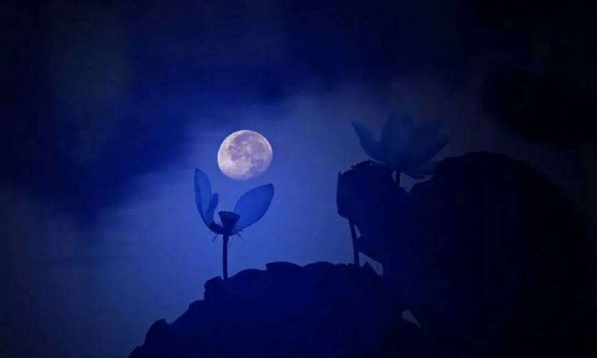 时光荏苒岁月如梭莫要蹉跎岁月,匆匆岁月唯有时光不可辜负