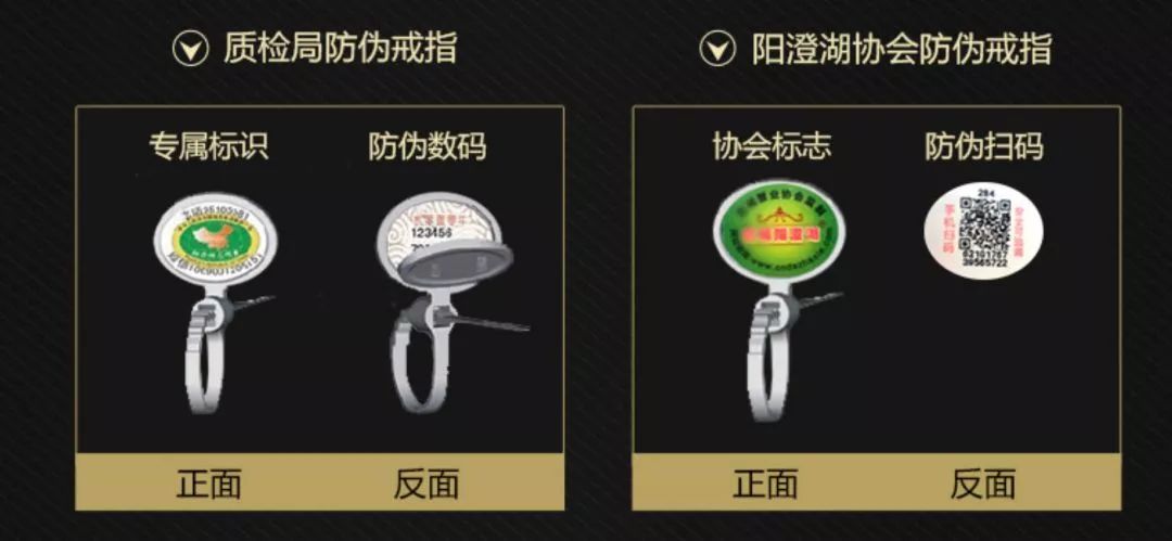 阳澄湖大闸蟹未捕先卖记者走访,阳澄湖大闸蟹现在还不上市