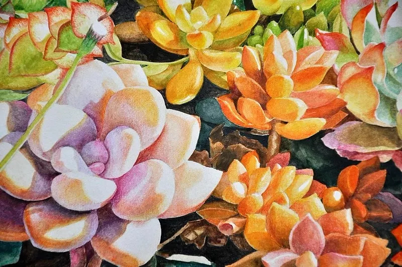 她画的超写实水彩花卉美到窒息,让人惊艳的水彩画