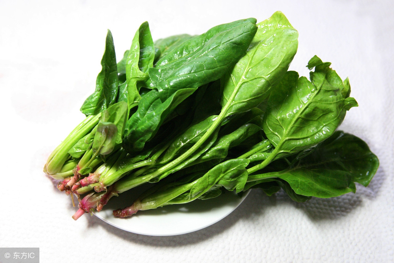 吃素的孕妇怎么保证胎儿营养,孕妇只喜欢吃素不吃肉怎么办