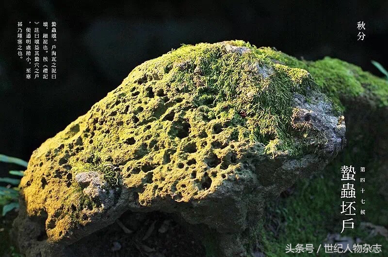 绉嬪垎璁╀汉闅惧彈,绉嬪垎蹇冮唹