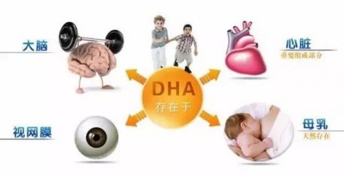 蜀中安馨十月清清露怎么样,蜀中安馨十月的阿胶能买吗