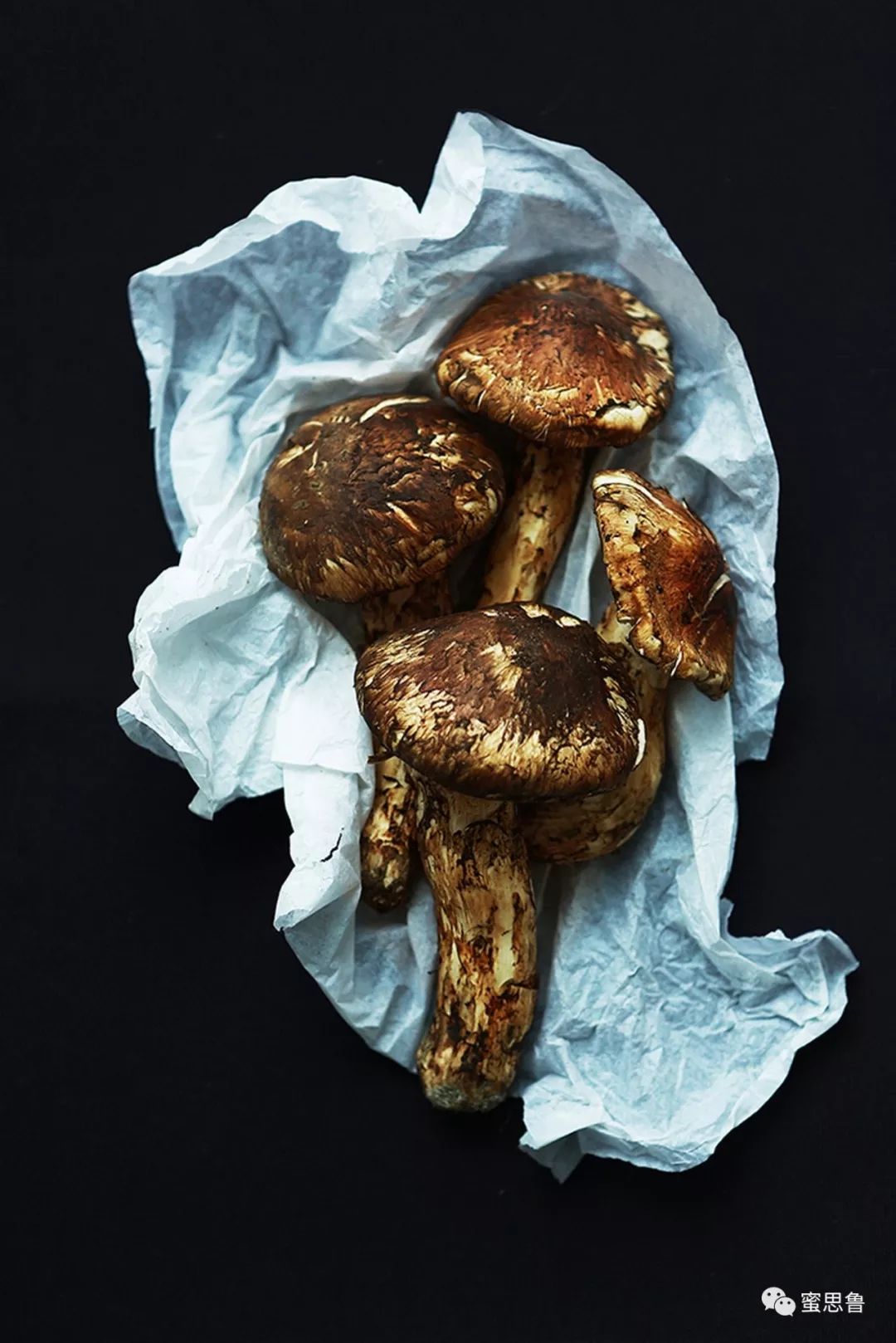 她是苏小糖，城里最会生活的摄影师：如何忙碌，都不曾错失生活