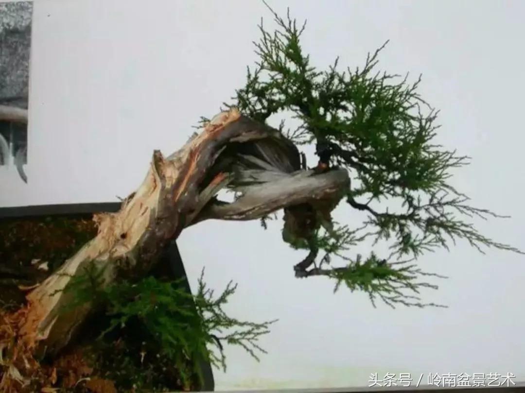 神来之笔绘画作品欣赏,神来之笔书法作品大全