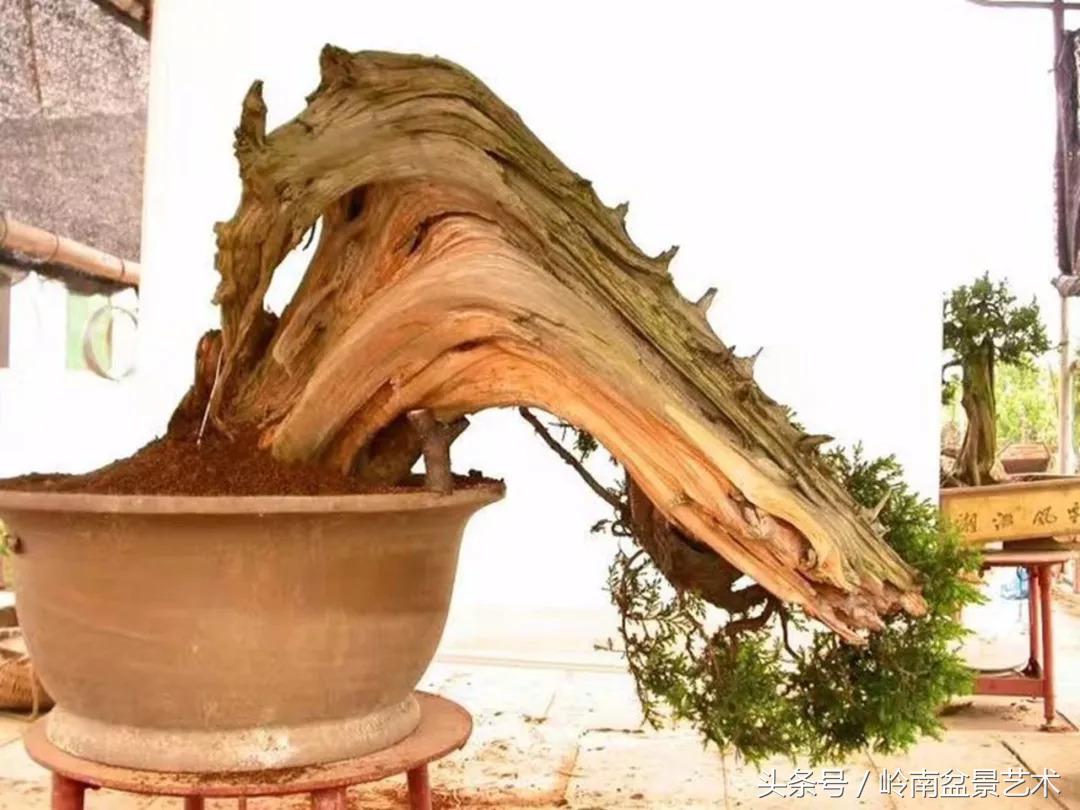 神来之笔绘画作品欣赏,神来之笔书法作品大全