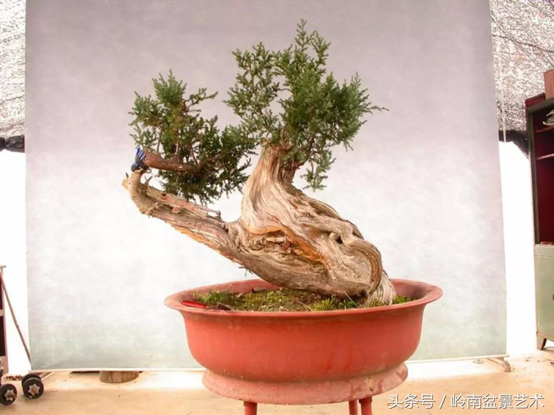 神来之笔绘画作品欣赏,神来之笔书法作品大全