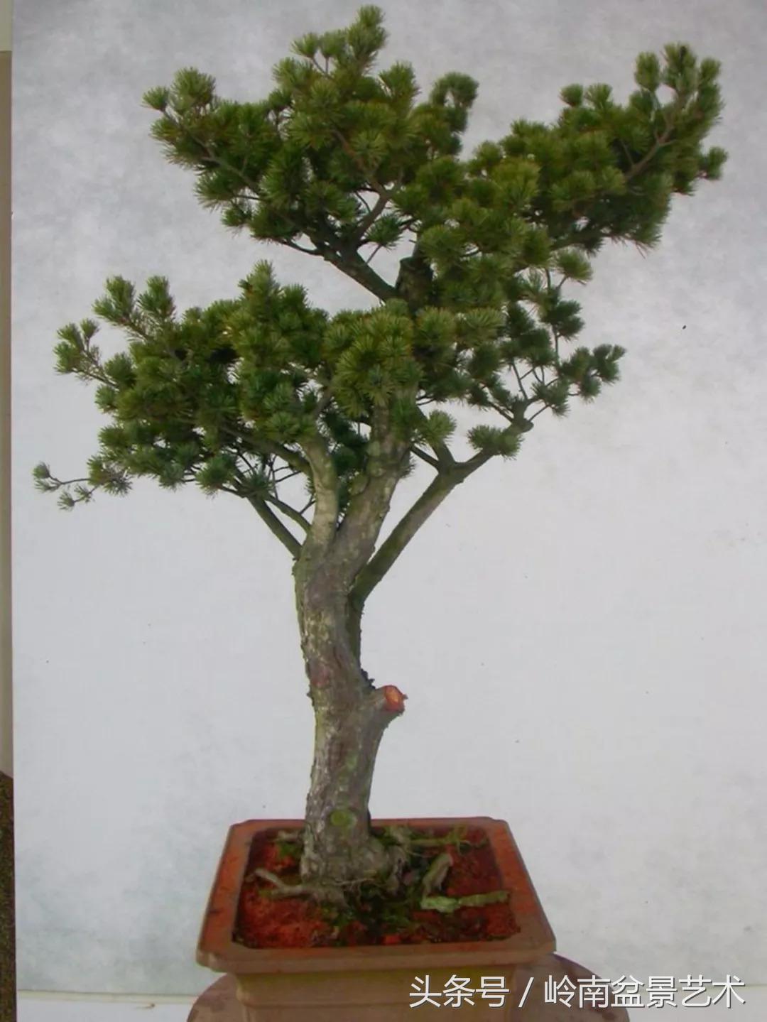 神来之笔绘画作品欣赏,神来之笔书法作品大全