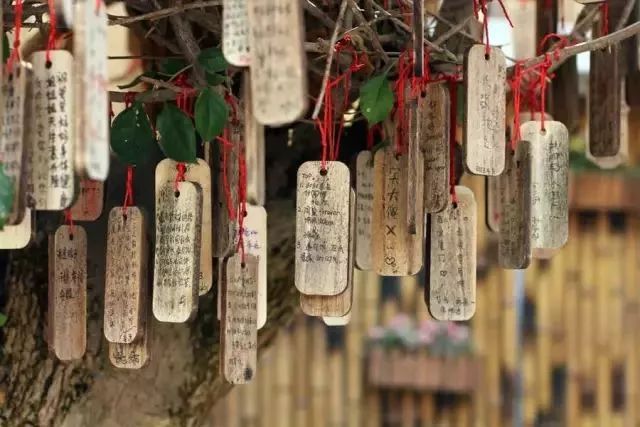 厦门10个最值得去的景点,厦门这几个景点是游客心中的圣地