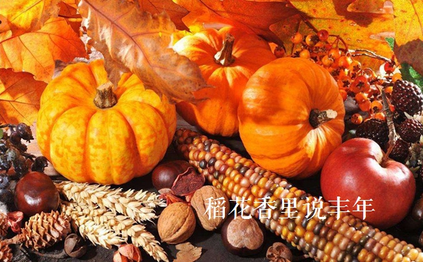 描写稻穗丰收的诗句,赞美秋天的诗句稻花香里说丰年