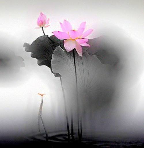 去寺庙怎么烧平安香,去寺庙可以烧61支香吗