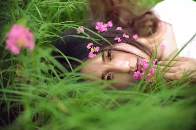 最好看的紫薇花美景,初秋靓丽的紫薇花